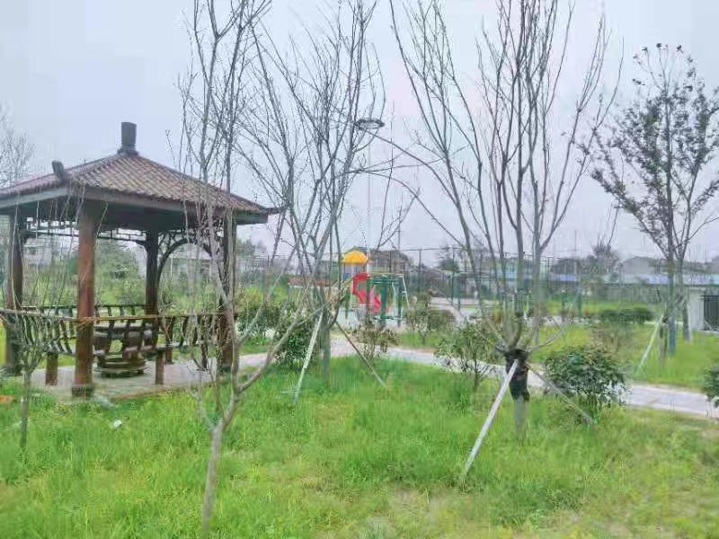　　在吳勒村，在得知兩家委托加工型企業(yè)廠房條件簡(jiǎn)陋，夏季高溫和冬季寒冷時(shí)都不能生產(chǎn)后，集團(tuán)黨委積極尋求解決辦法，計(jì)劃將已經(jīng)停辦的小學(xué)校舍打造成村里的扶貧產(chǎn)業(yè)園，將所有工廠搬入其中。得到鎮(zhèn)政府支持后，又多次同泗陽(yáng)縣教育局會(huì)商，將原吳勒村小學(xué)校舍使用權(quán)交給吳勒村村委會(huì)。集團(tuán)共建單位出資將占地約2000平方米、建筑面積約600平方米的小學(xué)改造成四個(gè)生產(chǎn)車(chē)間，新建一間傳達(dá)室，并全部配備空調(diào)，讓工廠做到一年四季正常生產(chǎn)，必要時(shí)可以實(shí)行三班倒。這樣，一方面大大改善了工人的工作環(huán)境，另一方面快快提高了生產(chǎn)效率，還有效帶動(dòng)至少30名建檔立卡困難群眾就業(yè)，增加村集體經(jīng)濟(jì)收入20萬(wàn)元以上。  　　項(xiàng)目幫扶既是鄉(xiāng)村經(jīng)濟(jì)增長(zhǎng)的動(dòng)力，又是產(chǎn)業(yè)升級(jí)的依托，更是幫助村民致富的載體。吳勒村和顏勒村產(chǎn)業(yè)項(xiàng)目的發(fā)展為盧集鎮(zhèn)、乃至泗陽(yáng)縣的鄉(xiāng)村振興之路打下深厚基礎(chǔ)。村企雙方借助相互優(yōu)勢(shì)，同步發(fā)展、同向得利，通過(guò)產(chǎn)業(yè)帶動(dòng)、項(xiàng)目帶動(dòng)，實(shí)現(xiàn)村企深度合作。  　　“城鄉(xiāng)結(jié)對(duì)”煥發(fā)鄉(xiāng)風(fēng)文明新活力  　　為充分發(fā)揮省級(jí)文明單位示范帶動(dòng)作用，推動(dòng)城鄉(xiāng)文明一體發(fā)展，根據(jù)省總工會(huì)、省文明辦的工作要求，中江國(guó)際集團(tuán)五建分公司和恒泰貿(mào)易公司與吳勒村分別開(kāi)展“三聯(lián)三促”“城鄉(xiāng)結(jié)對(duì)、文明共建”活動(dòng)，簽訂了共建協(xié)議，積極構(gòu)筑道德風(fēng)尚建設(shè)高地，為建設(shè)社會(huì)文明程度高的新江蘇做出貢獻(xiàn)。